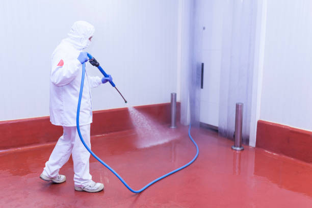 Poinciana, FL Pressure Washing Services Company